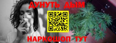 apvp Свободный