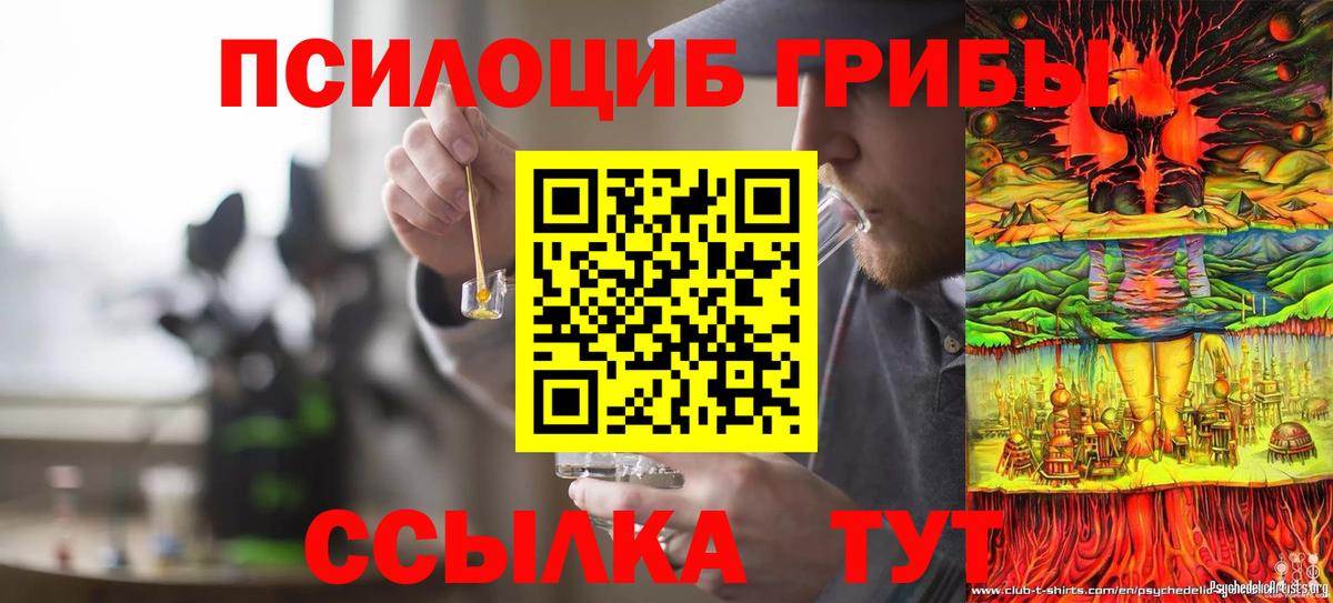 Псилоцибиновые грибы GOLDEN TEACHER Находка